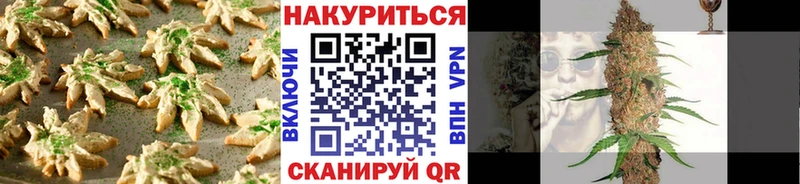 Canna-Cookies конопля  магазин продажи   Кукмор 